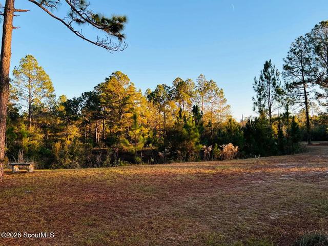 1611 Broadhurst Rd W, Screven, GA 31560