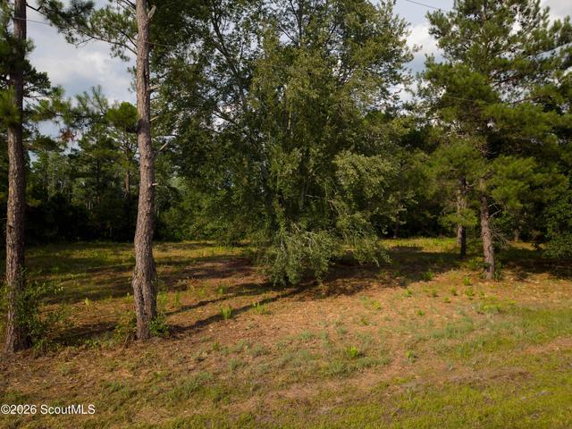 0 Carter Community Rd, Folkston, GA 31537