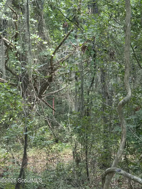 2 83 Ac Young Man Rd NE, Townsend, GA 31331 photo 6