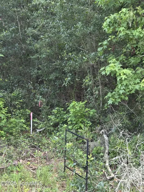 2 83 Ac Young Man Rd NE, Townsend, GA 31331 photo 4