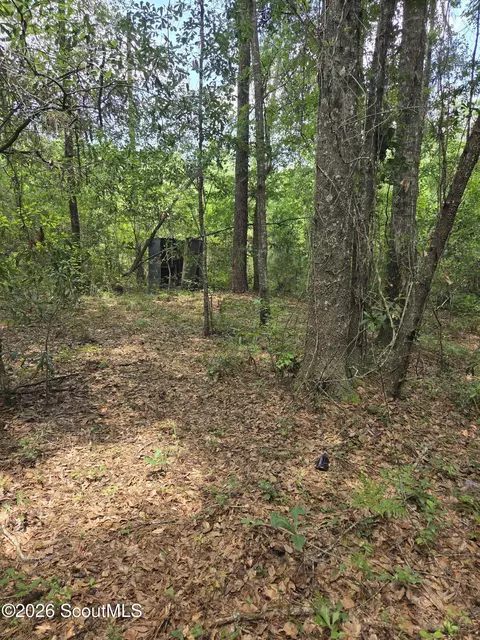2 83 Ac Young Man Rd NE, Townsend, GA 31331 photo 5