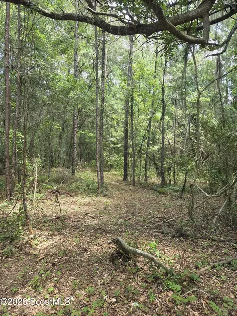 2 83 Ac Young Man Rd NE, Townsend, GA 31331 photo 1