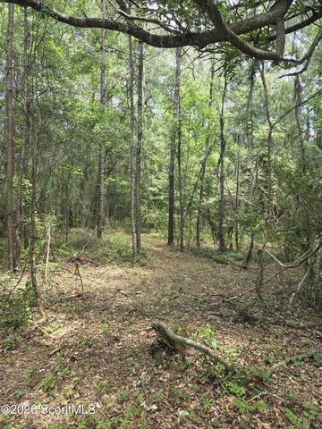 0 Young Man Rd NE, Townsend, GA 31331
