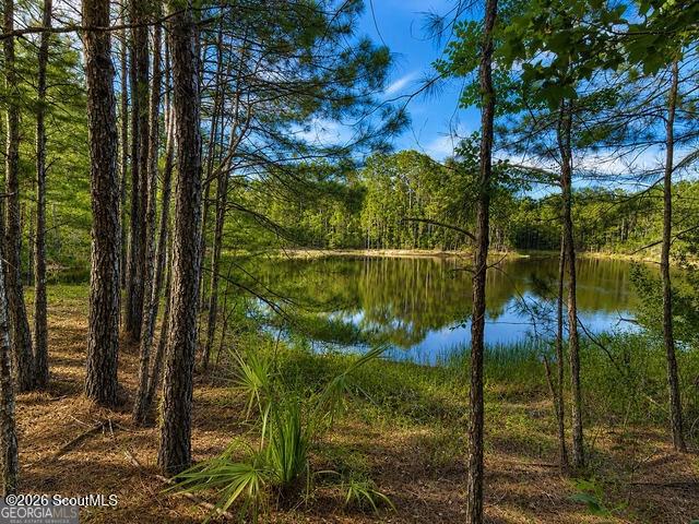 100 La Vento Ln, Waverly, GA 31565