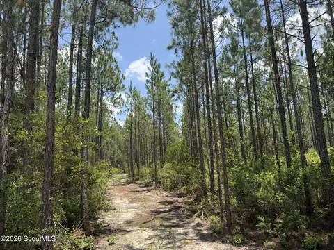 Lot 6 Corbitt Road #6, Manor, GA 31550