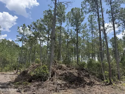 Lot 9 Corbitt Road #9, Manor, GA 31550