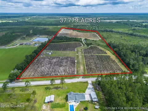 7848 Trudie Rd, Patterson, GA 31557 photo 3