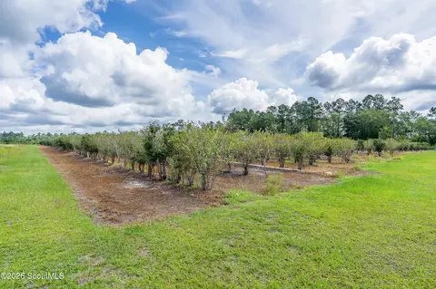 7848 Trudie Rd, Patterson, GA 31557 photo 17