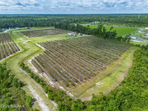 7848 Trudie Rd, Patterson, GA 31557 photo 7