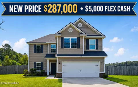 110 Dove Run Dr NE, Ludowici, GA 31316