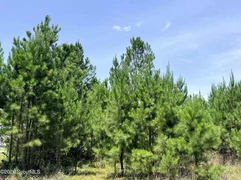 1 Nursery Rd, Jesup, GA 31546