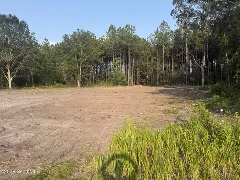 0 Harper St, Nahunta, GA 31553 photo 2