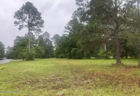 153 Sapelo Park Dr NE #153, Shellman Bluff, GA 31331 photo 3