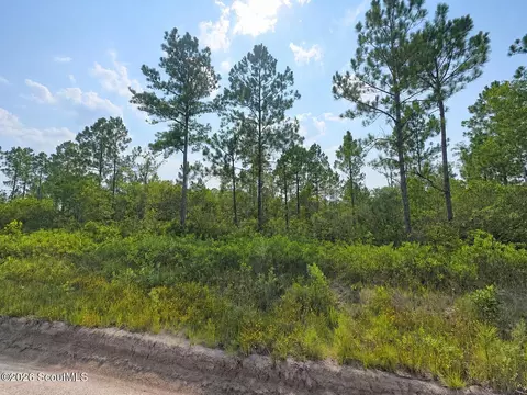 00 Picketts Mill Trl, Waynesville, GA 31566