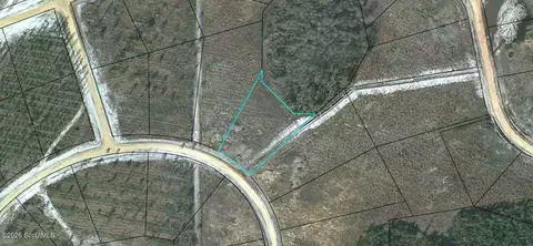 lot115 Pinecrest #115, Waynesville, GA 31566