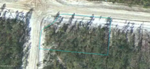lot11 Satilla Plantation #11, Waynesville, GA 31566