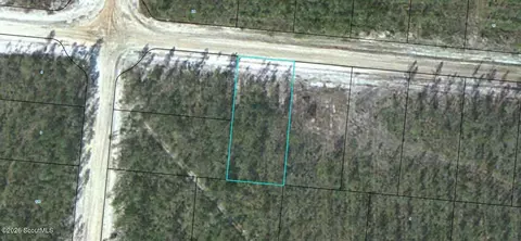 lot12 Satilla Plantation #12, Waynesville, GA 31566