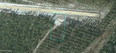 lot70 Satilla Plantation #70, Waynesville, GA 31566