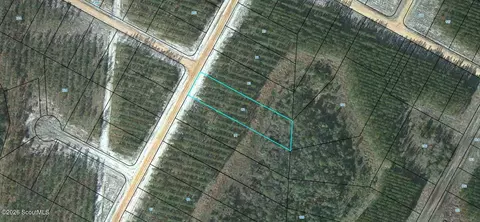 lot92 Satilla Plantation #92, Waynesville, GA 31566