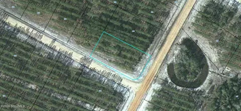 lot172 Satilla Plantation #172, Waynesville, GA 31566