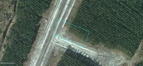 lot69 Eagles Crst #69, Waynesville, GA 31566