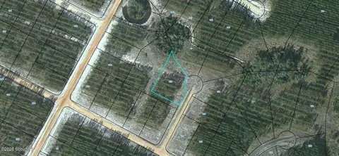 lot133 Satilla Plantation #133, Waynesville, GA 31566