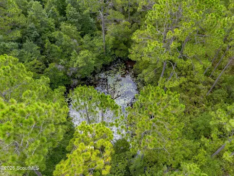 0 Sunset Blvd, Jesup, GA 31546 photo 8