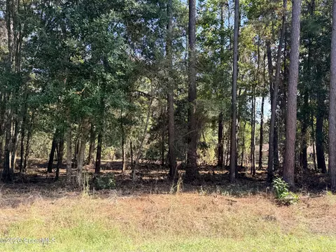 2 South Brunswick Street, Jesup, GA 31546 photo 6