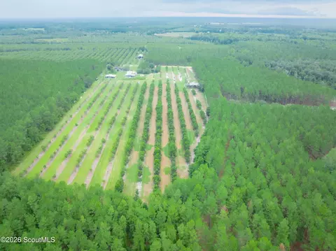 00 Deerfield Rd, Patterson, GA 31516 photo 18