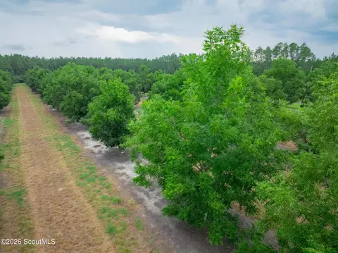 00 Deerfield Rd, Patterson, GA 31516 photo 15