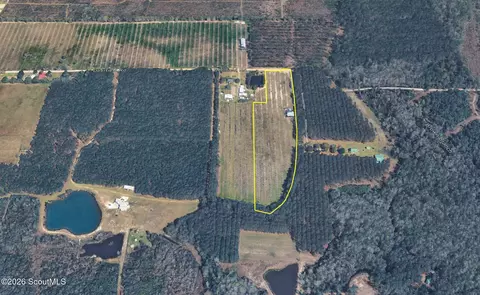 00 Deerfield Rd, Patterson, GA 31516 photo 2