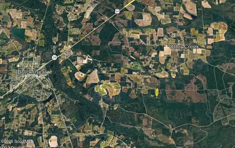 00 Deerfield Rd, Patterson, GA 31516 photo 3