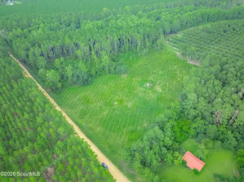 00 Son Thomas Rd, Patterson, GA 31516 photo 8