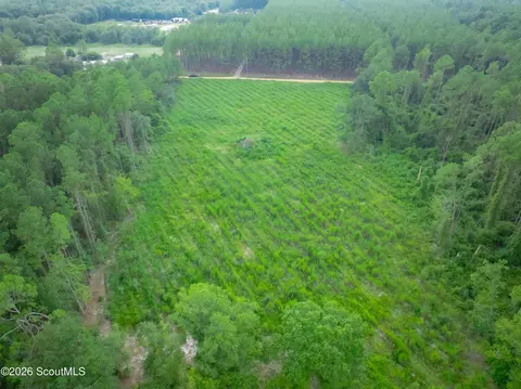 00 Son Thomas Rd, Patterson, GA 31516 photo 11