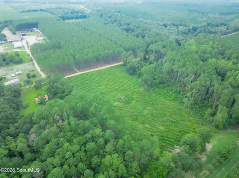 00 Son Thomas Rd, Patterson, GA 31516 photo 10