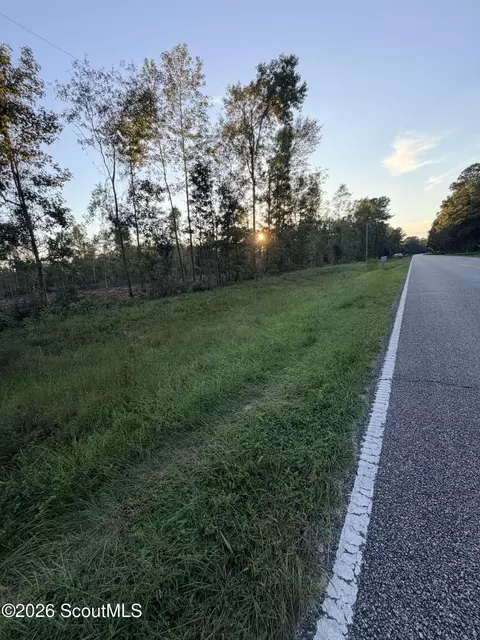 0 Ga Hwy 251, Darien, GA 31305