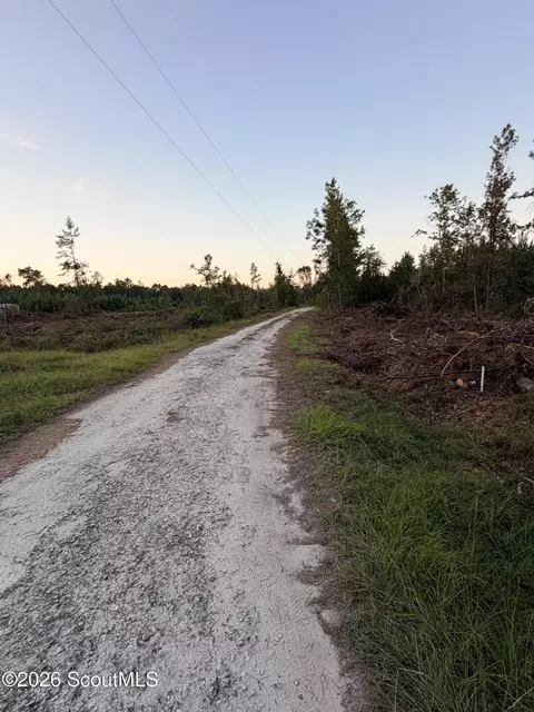 00 SW Ga Hwy 251 Rd SW, Darien, GA 31305