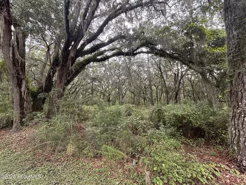4 Carnochan Ln SE #LOT 4, Darien, GA 31305