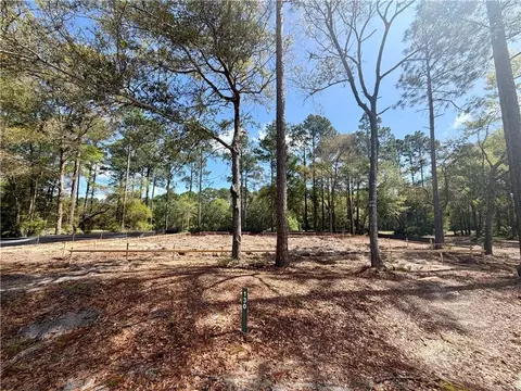 Exterior - 1499 Sapelo Park Dr NE, Shellman Bluff, GA 31331 photo 6 of 18