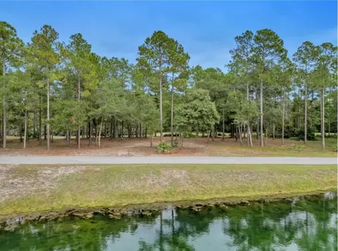 View/Area - 1499 Sapelo Park Dr NE, Shellman Bluff, GA 31331 photo 2 of 5