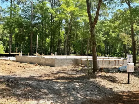 Other - 1499 Sapelo Park Dr NE, Shellman Bluff, GA 31331 photo 15 of 17