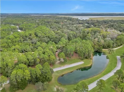 View/Area - 1499 Sapelo Park Dr NE, Shellman Bluff, GA 31331 photo 3 of 5