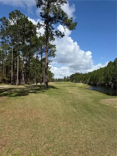 View/Area - 1499 Sapelo Park Dr NE, Shellman Bluff, GA 31331 photo 5 of 5