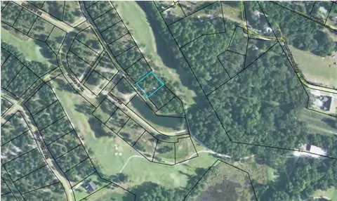 Other - 1499 Sapelo Park Dr NE, Shellman Bluff, GA 31331 photo 13 of 17