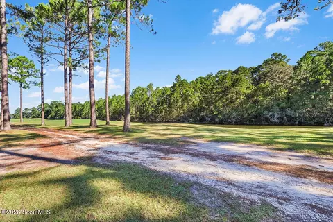 Other - 1499 Sapelo Park Dr NE, Shellman Bluff, GA 31331 photo 9 of 17