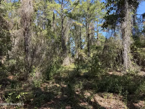 64 Hightower Rd, Nahunta, GA 31553 photo 11