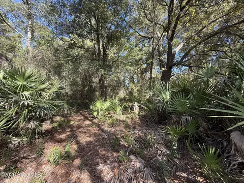 64 Hightower Rd, Nahunta, GA 31553 photo 7
