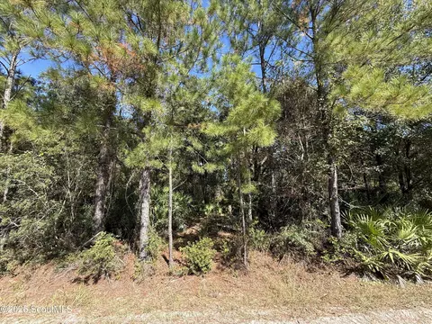 64 Hightower Rd, Nahunta, GA 31553 photo 3