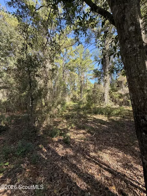 64 Hightower Rd, Nahunta, GA 31553 photo 9