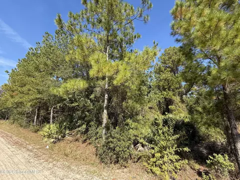 64 Hightower Rd, Nahunta, GA 31553 photo 2